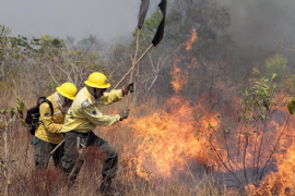 Imagem do Curso Online Combate a Incêndios em Florestas e Zonas Rurais
